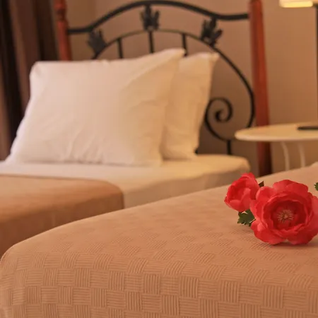 Lady Rose