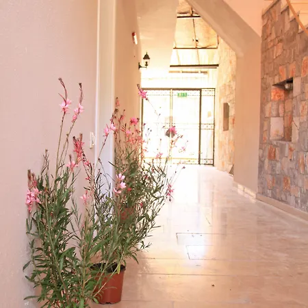 Homestay szállás Lady Rose *